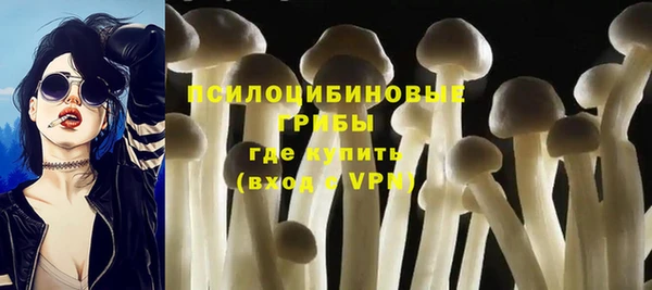 трава Аркадак