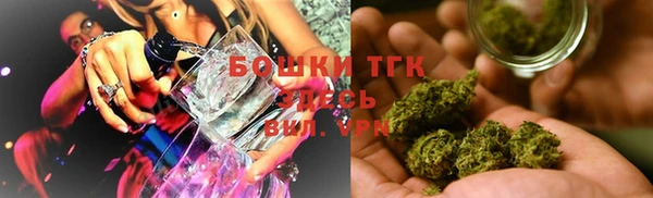 трава Аркадак