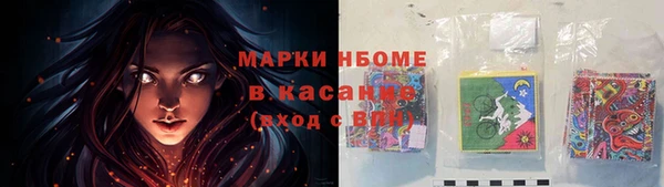 трава Аркадак
