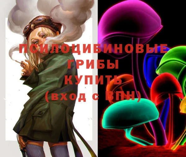 трава Аркадак